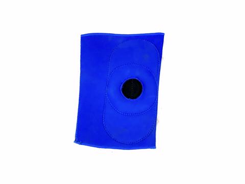 Επιγονατίδα